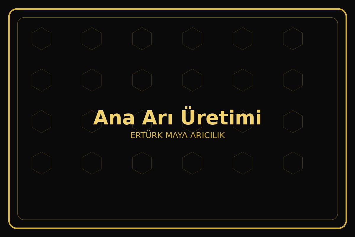 Ana Arı Üretimi