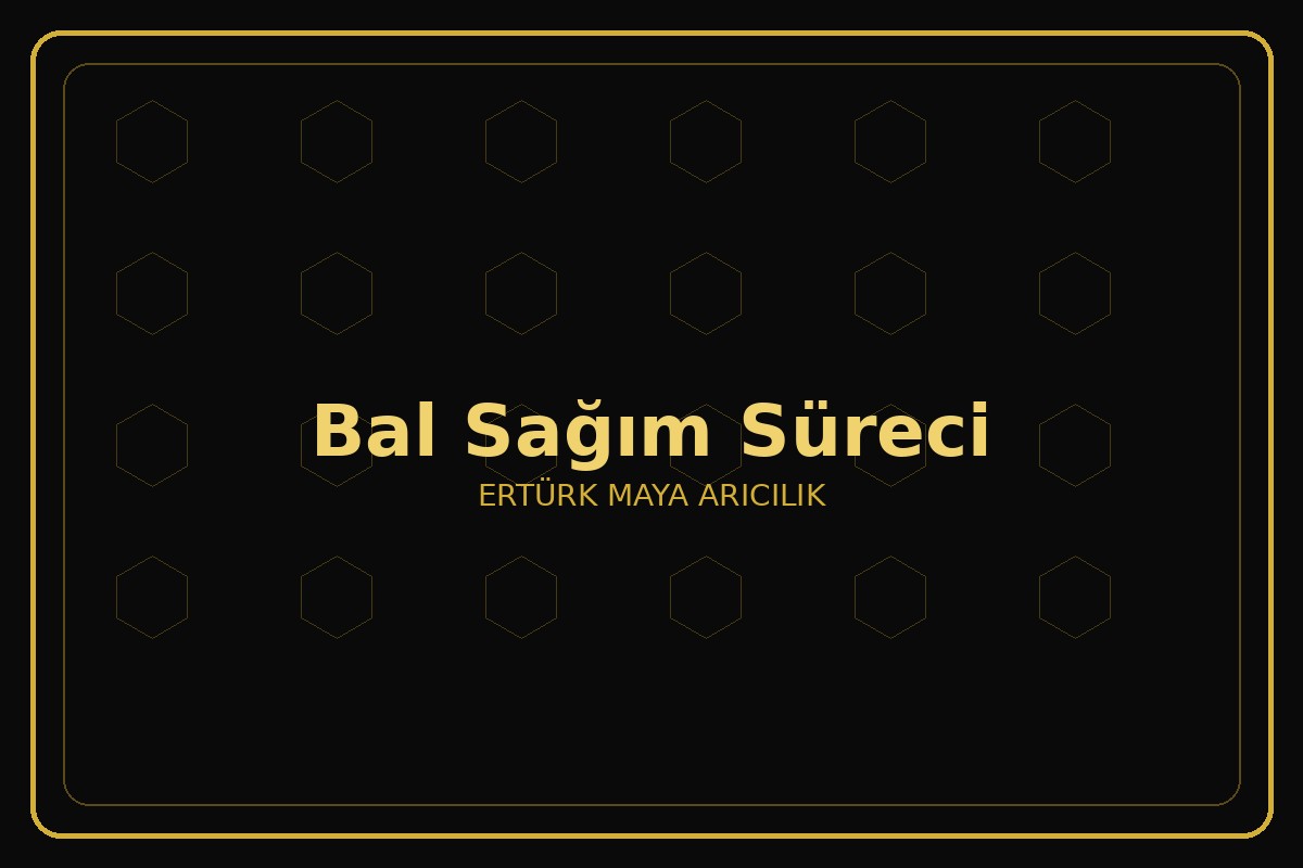 Bal Sağım Süreci