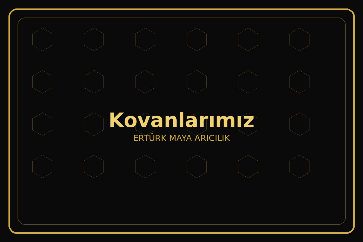 Kovanlarımız