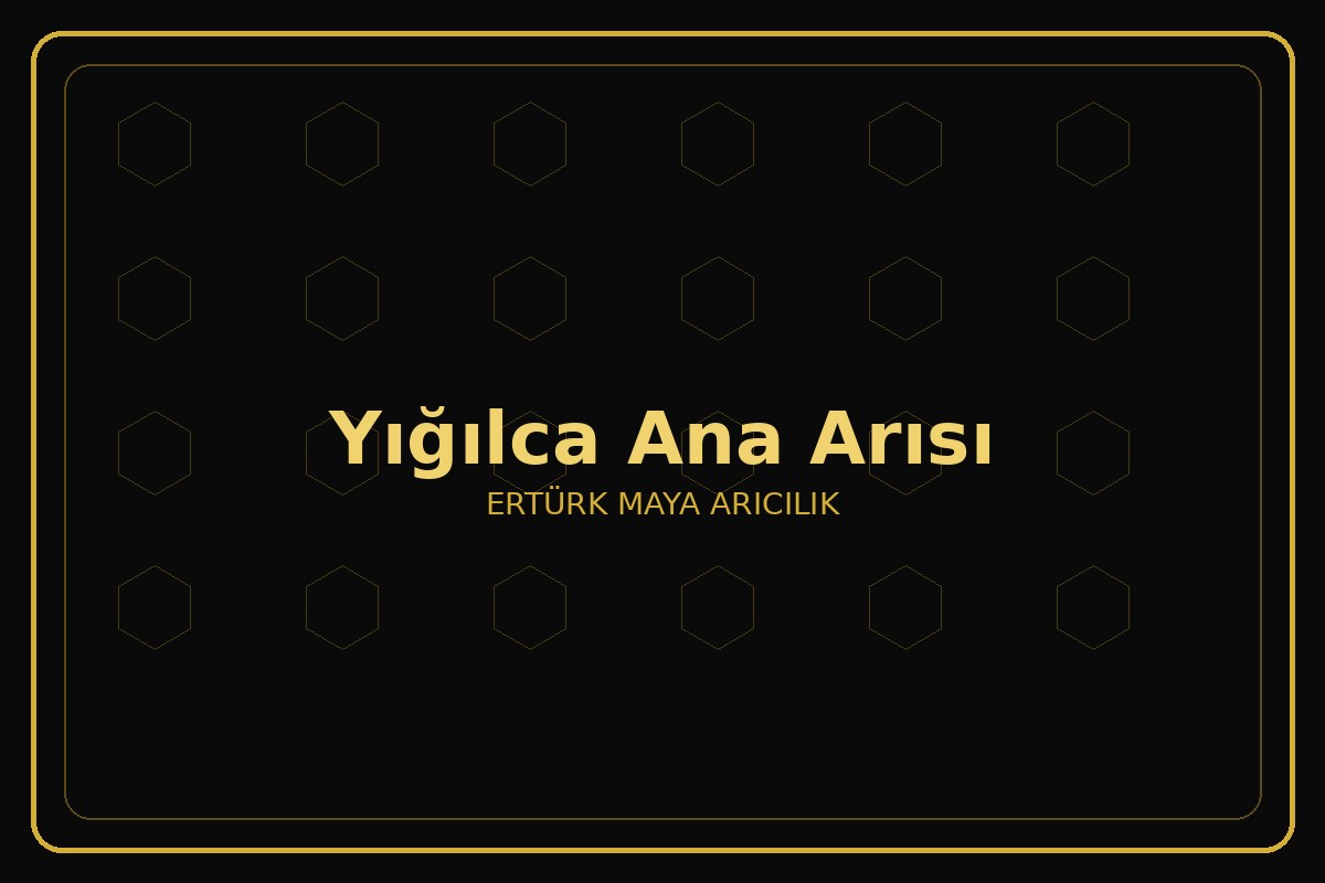 Yığılca Ana Arısı